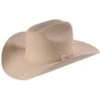 Stetson Men's 6X Skyline Fur Felt Western Hat